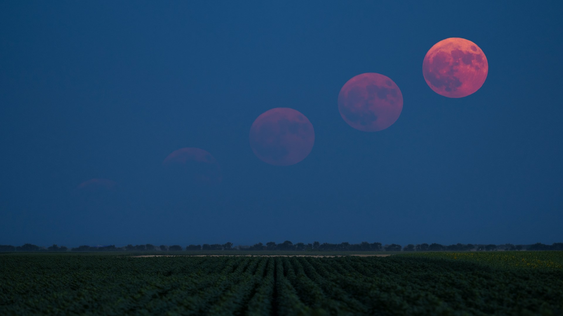 Blood Moon sequence over a field in Novi Sad, Serbia. Photo by Dejan Zakic