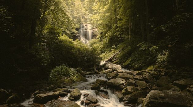 Anna Ruby Falls in the Chattahoochee-Oconee National Forest near Helen, Georgia. Photo by Hunter Newton