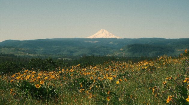 McCall Point, Oregon, USA. Photo by akhil s