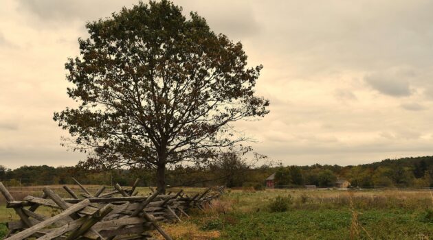Gettysburg National Military Park. Photo by Mike Kozak