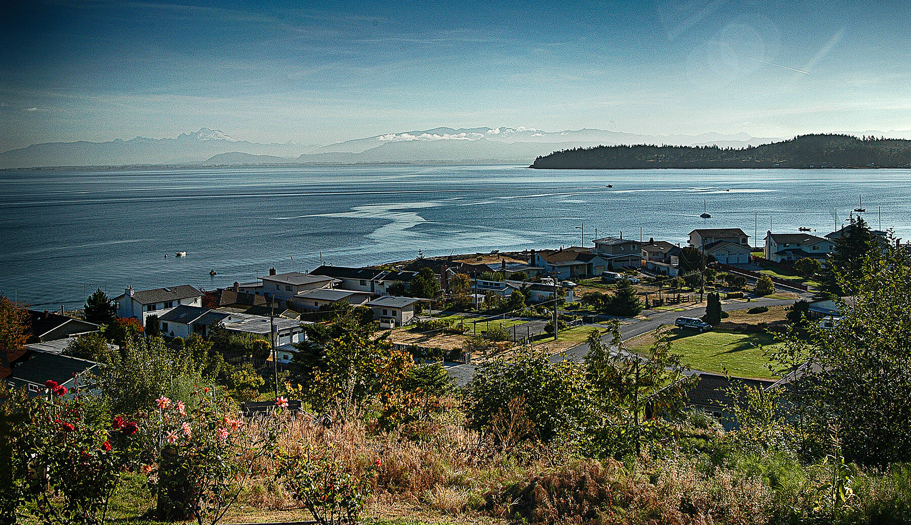 Houses overlooking the Puget Sound, Washington State, USA. Photo by Dick Pratt