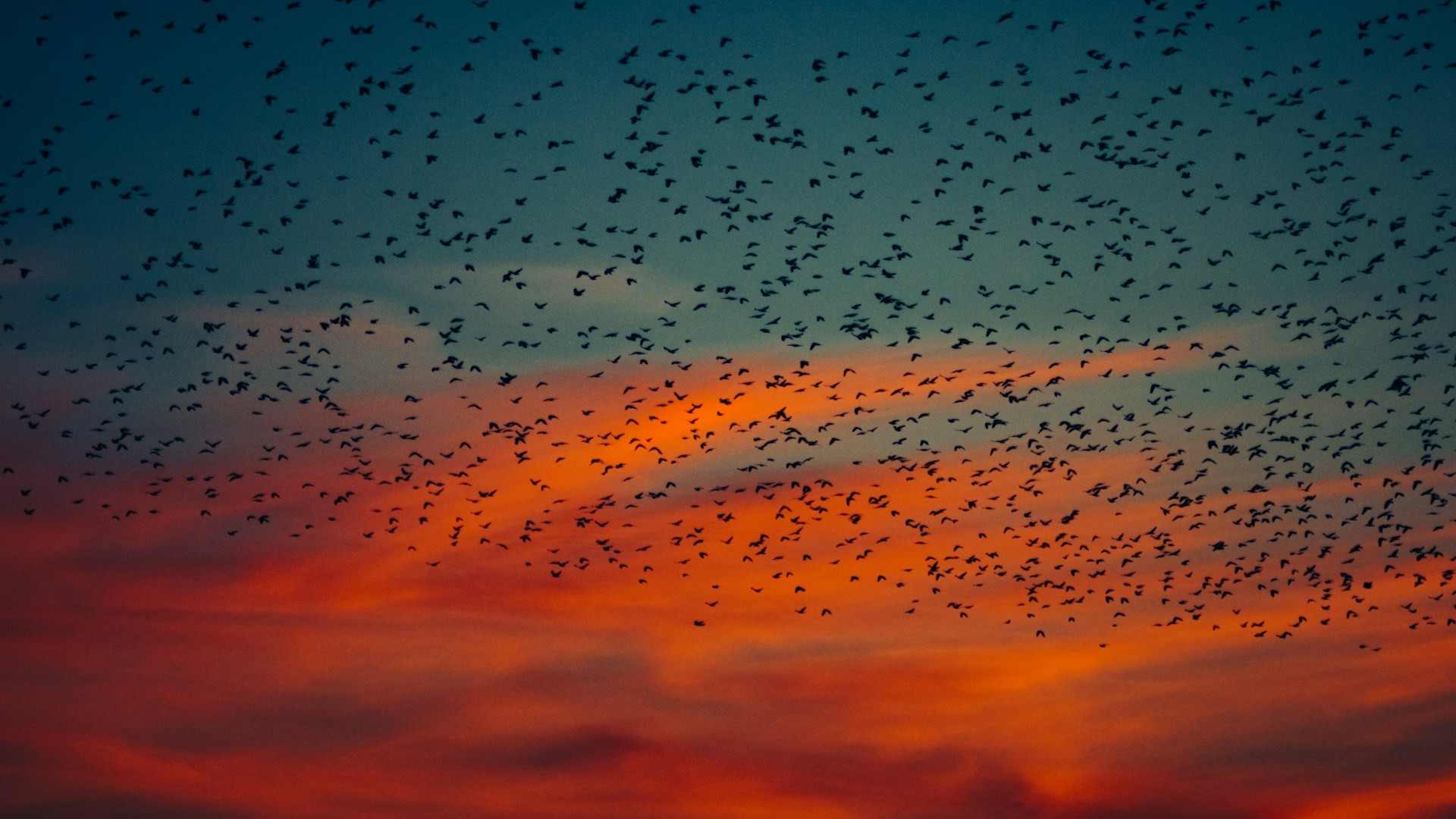 Photo by Nastia Petruk