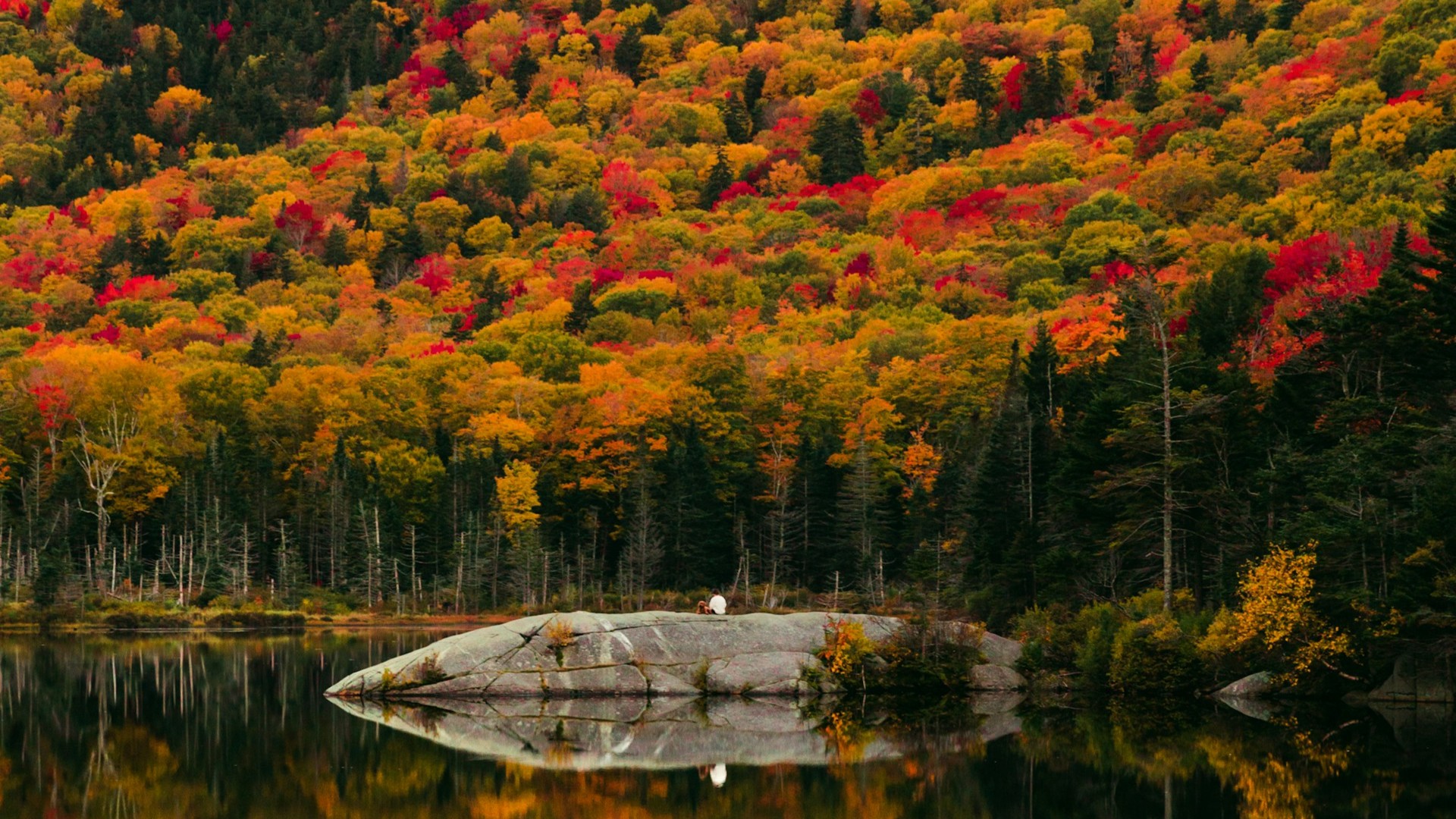 A beautiful spot to relax with a dog. Vermont, USA. Photo by Royce Fonseca