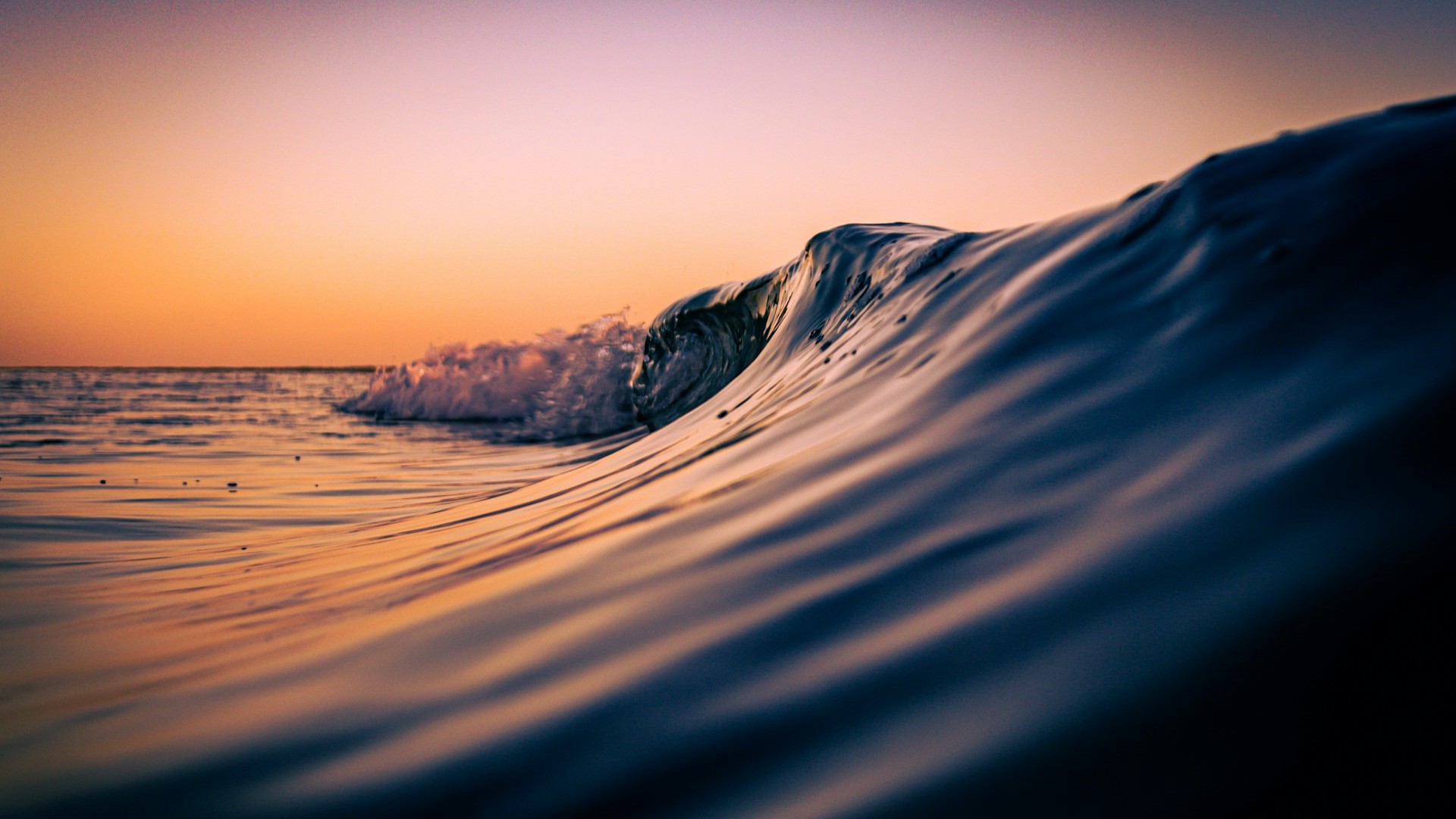 Bluewater Bay, Gqeberha, South Africa. Photo by William Veitch