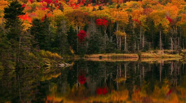 Fall colors. New Hampshire, USA. Photo by Royce Fonseca