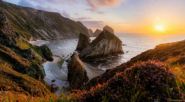 Ireland coast. Photo by Venti Views